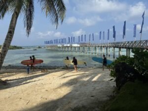 36e30aef-9db5-47ed-930a-0ef388495518