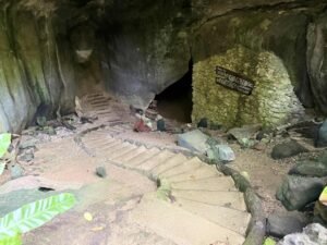 3e1367b5-118a-4262-b473-a63de31ff830