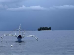 983a2b92-9aa0-4f81-8b42-547283149154