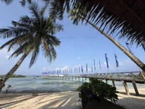 a228946d-b88b-428e-9ee3-b9352b9dc888