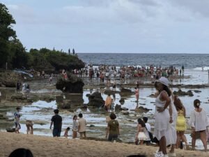 c02af96b-00f4-45d1-aaf8-bdc9ab96bf31