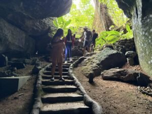 c9a2f58d-a45e-4750-a5d6-badd61d94c79